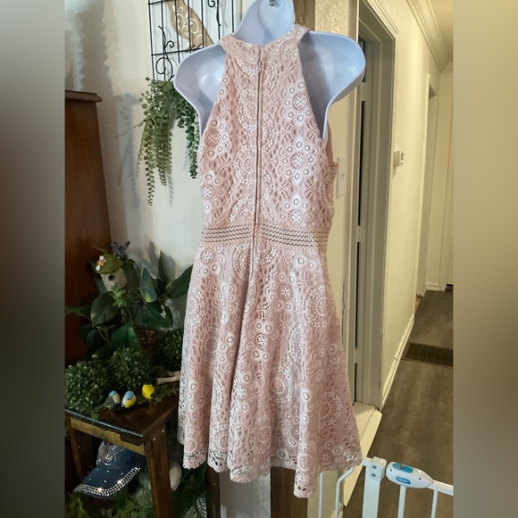 City Triangles Blush Lace Dress - Picture 4 of 11